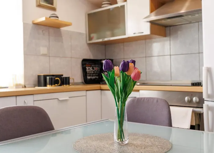 Apartamento Banjo Polo