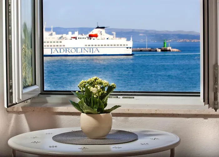 Apartamento Banjo Polo *